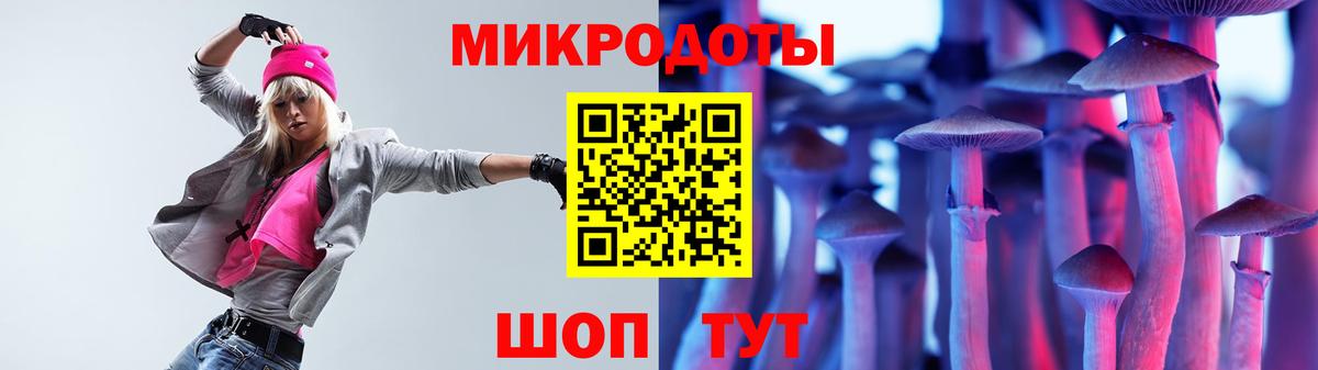 Белово  Галлюциногенные грибы Psilocybe  Вход с VPN 